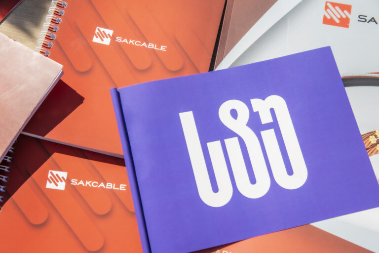 დასაქმების ფორუმში